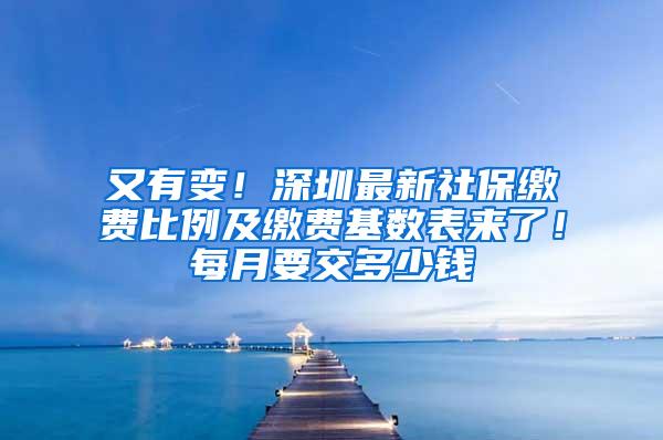 又有变！深圳最新社保缴费比例及缴费基数表来了！每月要交多少钱