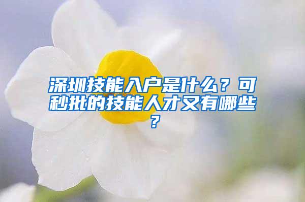 深圳技能入户是什么？可秒批的技能人才又有哪些？