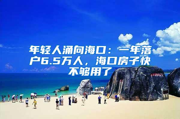 年轻人涌向海口：一年落户6.5万人，海口房子快不够用了