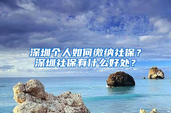 深圳个人如何缴纳社保？深圳社保有什么好处？