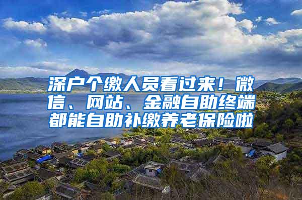 深户个缴人员看过来！微信、网站、金融自助终端都能自助补缴养老保险啦