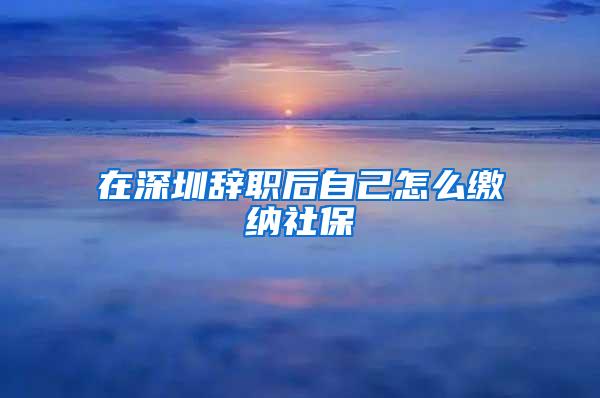 在深圳辞职后自己怎么缴纳社保