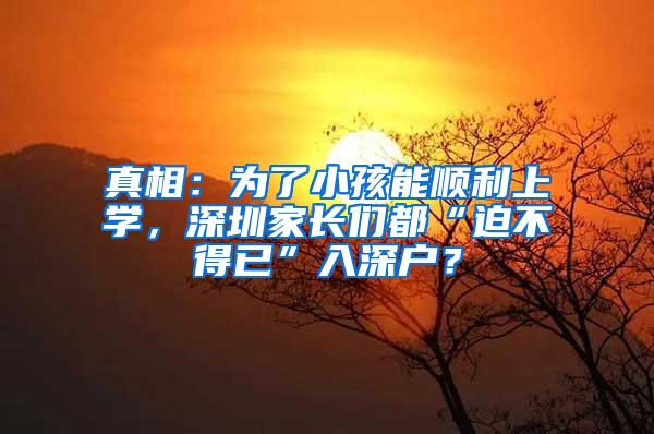 真相：为了小孩能顺利上学，深圳家长们都“迫不得已”入深户？