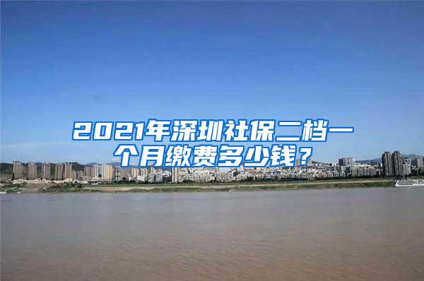 2021年深圳社保二档一个月缴费多少钱？