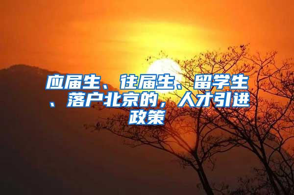 应届生、往届生、留学生、落户北京的，人才引进政策