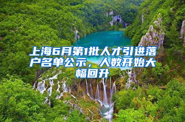 上海6月第1批人才引进落户名单公示，人数开始大幅回升