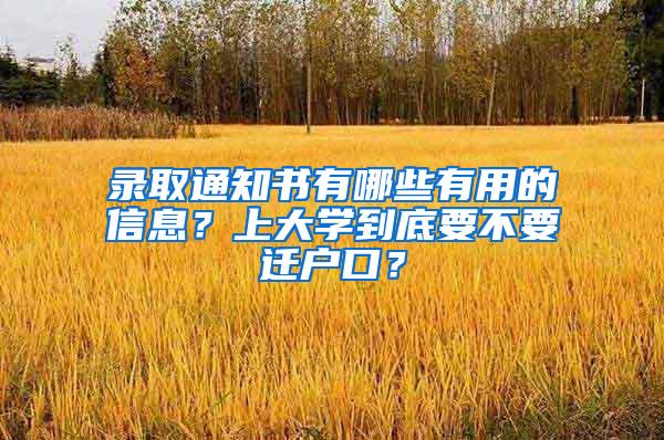 录取通知书有哪些有用的信息？上大学到底要不要迁户口？