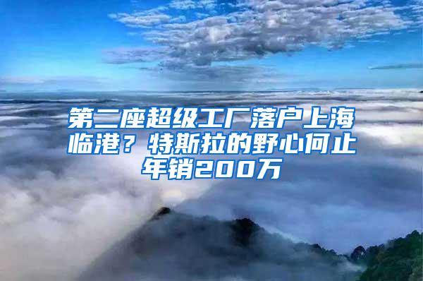 第二座超级工厂落户上海临港？特斯拉的野心何止年销200万