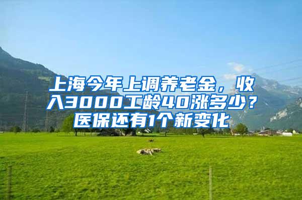 上海今年上调养老金，收入3000工龄40涨多少？医保还有1个新变化