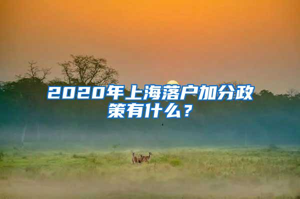 2020年上海落户加分政策有什么？