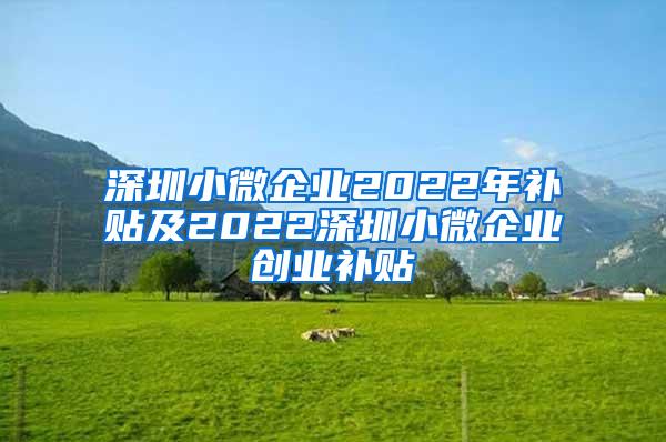 深圳小微企业2022年补贴及2022深圳小微企业创业补贴