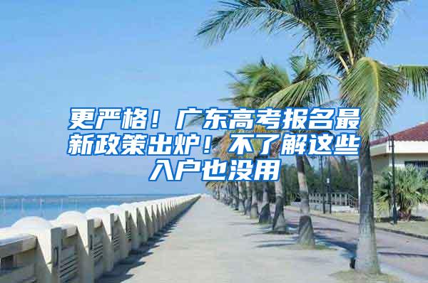 更严格！广东高考报名最新政策出炉！不了解这些入户也没用