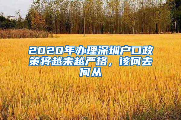 2020年办理深圳户口政策将越来越严格，该何去何从