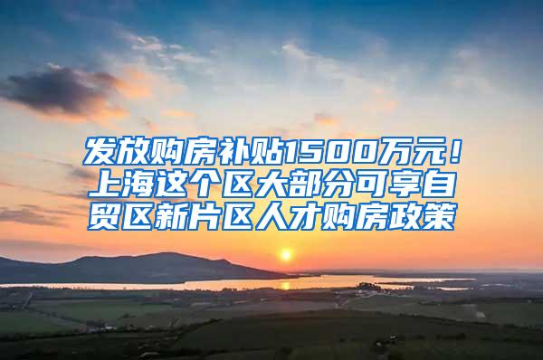 发放购房补贴1500万元！上海这个区大部分可享自贸区新片区人才购房政策