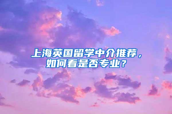 上海英国留学中介推荐，如何看是否专业？