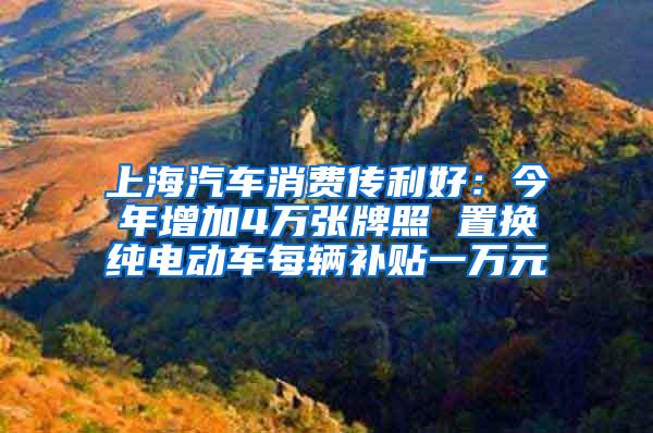 上海汽车消费传利好：今年增加4万张牌照 置换纯电动车每辆补贴一万元