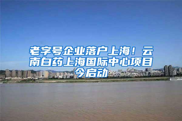 老字号企业落户上海！云南白药上海国际中心项目今启动