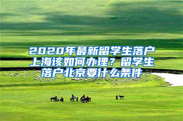 2020年最新留学生落户上海该如何办理？留学生落户北京要什么条件