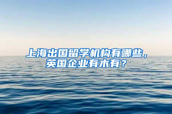 上海出国留学机构有哪些，英国企业有木有？