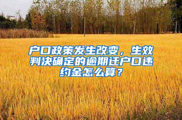 户口政策发生改变，生效判决确定的逾期迁户口违约金怎么算？