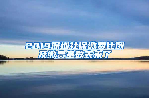 2019深圳社保缴费比例及缴费基数表来了