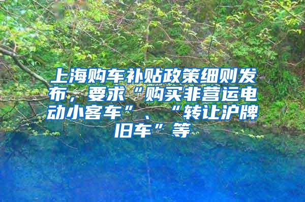 上海购车补贴政策细则发布，要求“购买非营运电动小客车”、“转让沪牌旧车”等