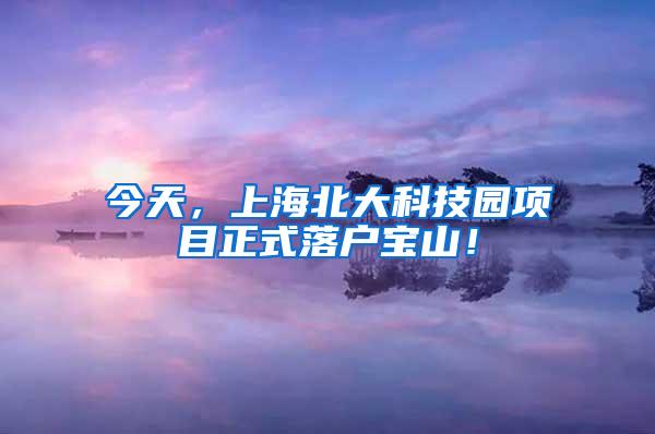 今天，上海北大科技园项目正式落户宝山！