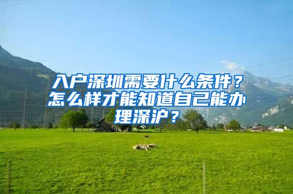 入户深圳需要什么条件？怎么样才能知道自己能办理深沪？