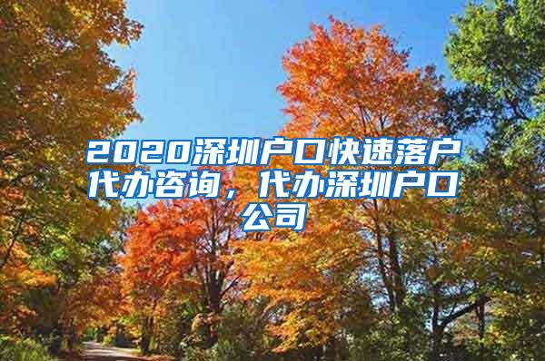 2020深圳户口快速落户代办咨询，代办深圳户口公司