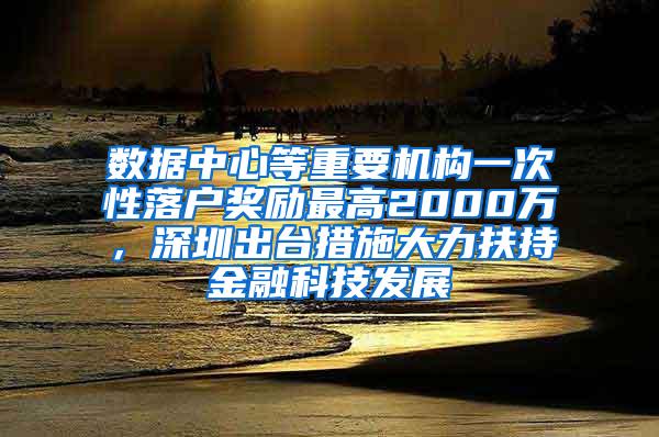 数据中心等重要机构一次性落户奖励最高2000万，深圳出台措施大力扶持金融科技发展