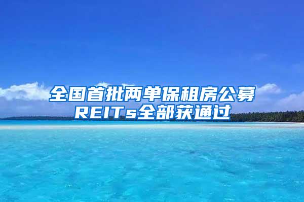 全国首批两单保租房公募REITs全部获通过