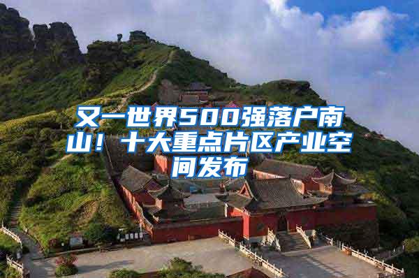 又一世界500强落户南山！十大重点片区产业空间发布