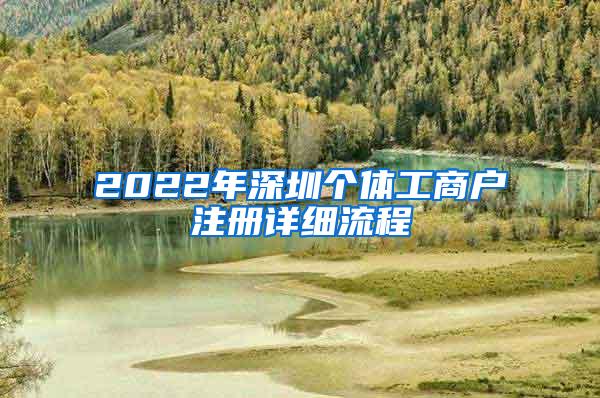 2022年深圳个体工商户注册详细流程