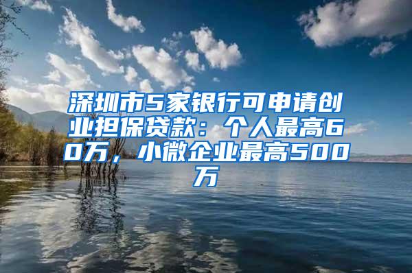 深圳市5家银行可申请创业担保贷款：个人最高60万，小微企业最高500万