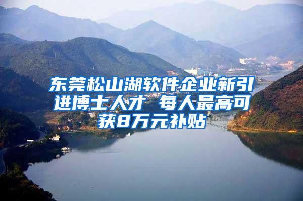 东莞松山湖软件企业新引进博士人才 每人最高可获8万元补贴