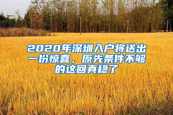 2020年深圳入户将送出一份惊喜，原先条件不够的这回真稳了