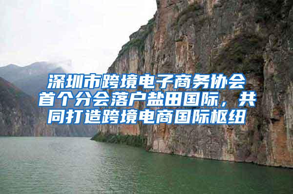 深圳市跨境电子商务协会首个分会落户盐田国际，共同打造跨境电商国际枢纽