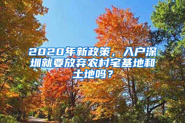 2020年新政策，入户深圳就要放弃农村宅基地和土地吗？