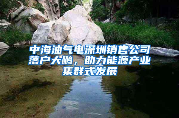 中海油气电深圳销售公司落户大鹏，助力能源产业集群式发展