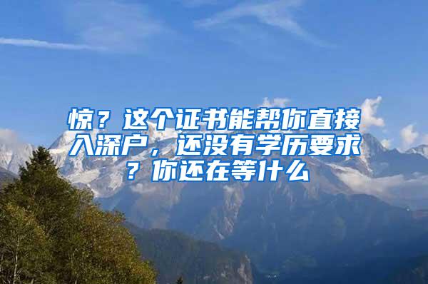 惊？这个证书能帮你直接入深户，还没有学历要求？你还在等什么