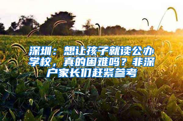 深圳：想让孩子就读公办学校，真的困难吗？非深户家长们赶紧参考