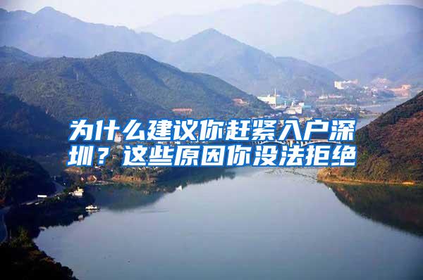 为什么建议你赶紧入户深圳？这些原因你没法拒绝