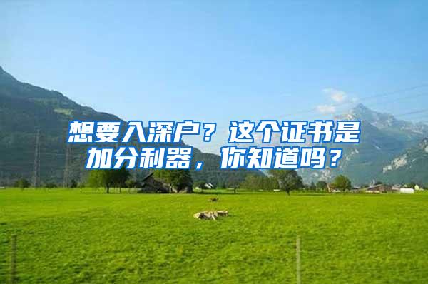 想要入深户？这个证书是加分利器，你知道吗？