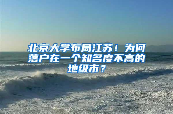 北京大学布局江苏！为何落户在一个知名度不高的地级市？