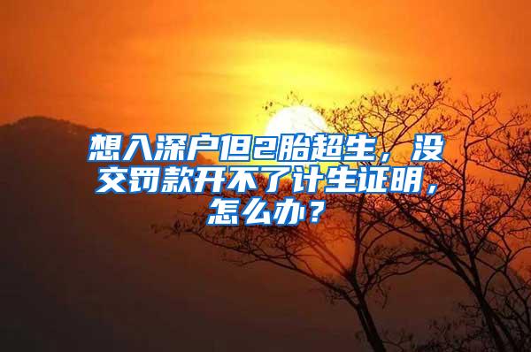 想入深户但2胎超生，没交罚款开不了计生证明，怎么办？