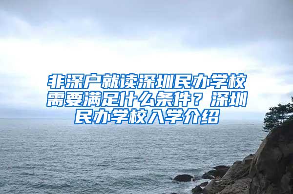 非深户就读深圳民办学校需要满足什么条件？深圳民办学校入学介绍