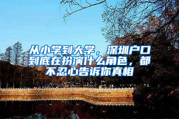 从小学到大学，深圳户口到底在扮演什么角色，都不忍心告诉你真相