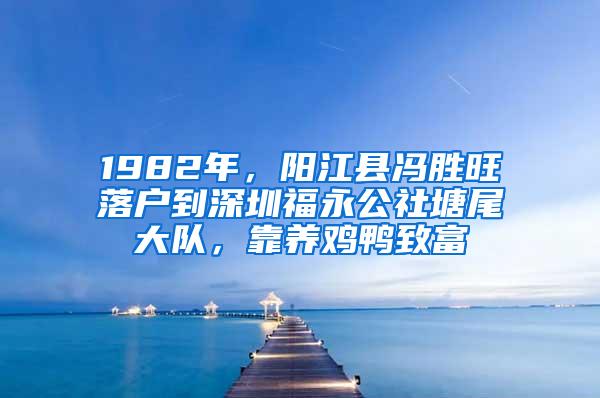 1982年，阳江县冯胜旺落户到深圳福永公社塘尾大队，靠养鸡鸭致富