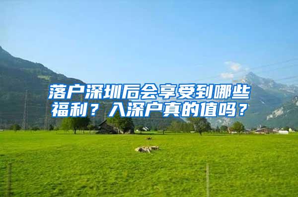 落户深圳后会享受到哪些福利？入深户真的值吗？