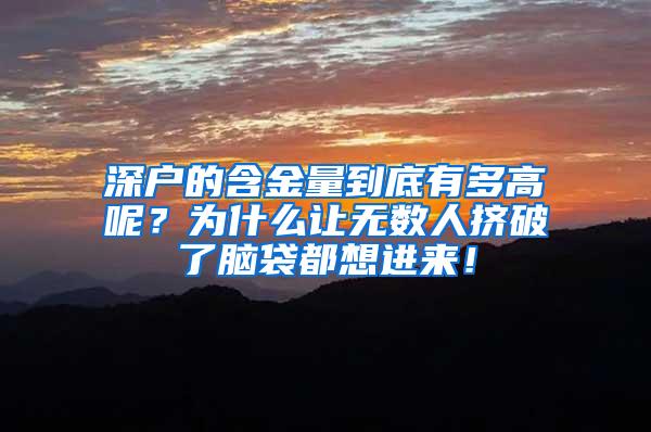 深户的含金量到底有多高呢？为什么让无数人挤破了脑袋都想进来！